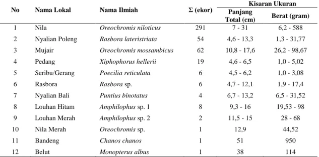 Tabel 1. Komposisi jenus ikan yang terperangkap di Danau Batur dengan jaring insang percobaan 