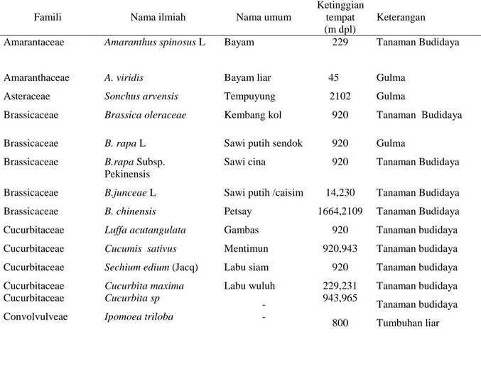 Tabel 1. Jenis tanaman inang yang teridentifikasi terserang   Liriomyza spp. 