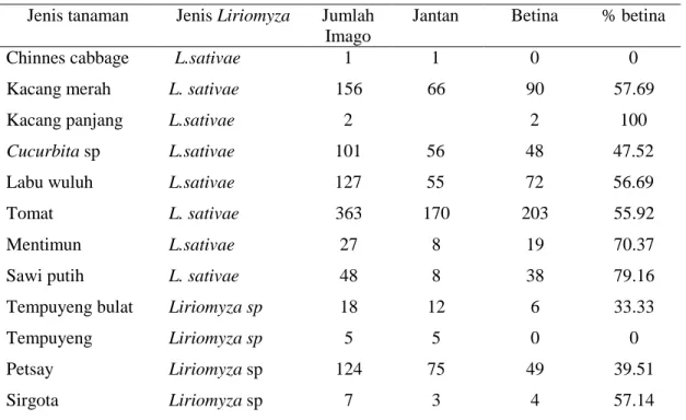 Tabel    2.    Keragaman      Liriomyza  spp.  yang  berasosiasi    tanaman  sayuran  dan  tumbuhan liar 