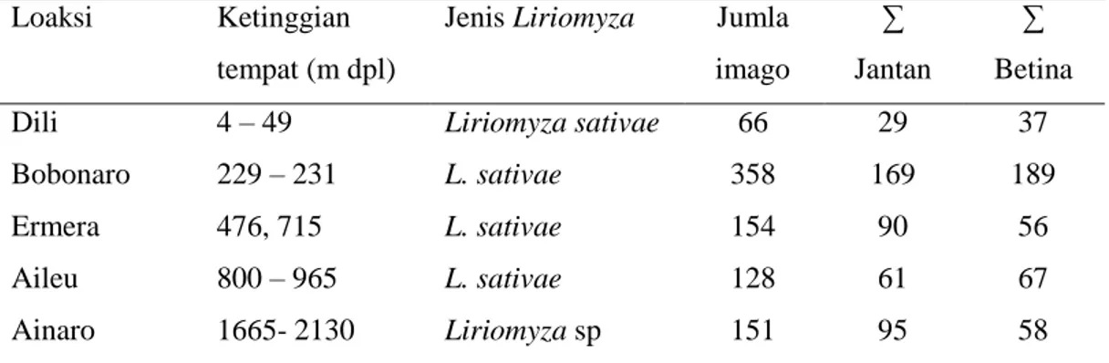 Tabel 3. Keragaman   Liriomyza spp berdasarkan  lokasi dan ketinggian tempat di  Timor Leste 