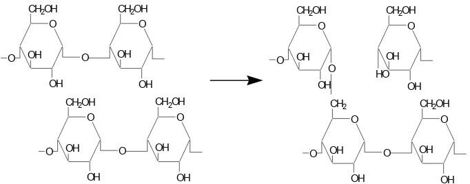 Gambar 5 Mekanisme reaksi transglukosidasi (Satterwaite dan Iwinski 1973). 