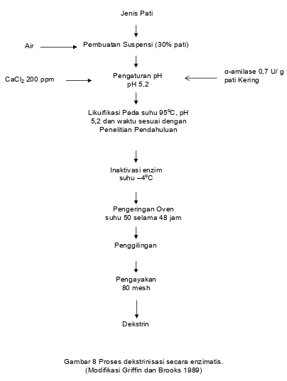 Gambar 8 Proses dekstrinisasi secara enzimatis.  (Modifikasi Griffin dan Brooks 1989) 