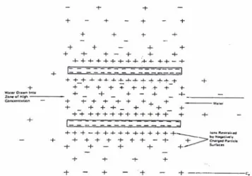 Gambar 3. Mekanisme osmotik pada partikel lempung (Mitchell, 1993) 