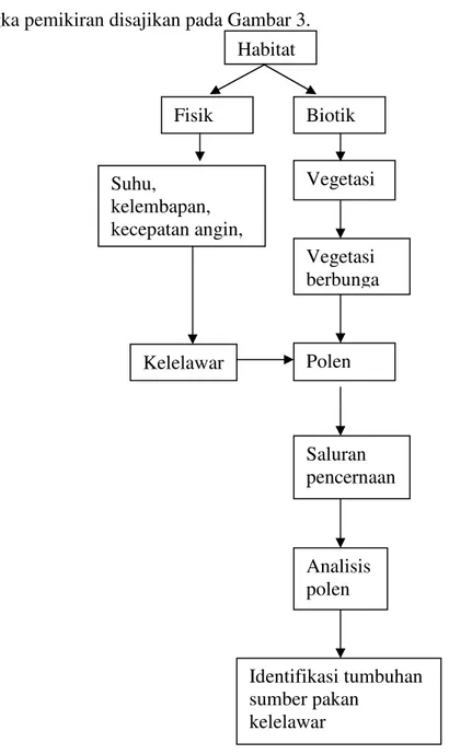 Gambar  3.  Diagram  kerangka  pemikiran  penelitian  identifikasi  sumber  pakan  kelelawar  pemakan buah dan nektar sub ordo Megachiroptera berdasarkan analisis polen  D
