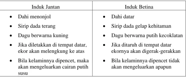 Tabel 1. Perbedaan Induk Jantan dan Betina 