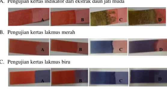 Gambar 4. Perbandingan  hasil pengujian kertas indikator asam basa dari ekstrak daun jati  muda dengan  kertas  lakmus  merah  dan  biru;  (A)  larutan  asam  kuat  (HCl),  (B)  larutan  asam  lemah  (CH 3 COOH),  (C)  larutan basa kuat (NaOH) dan (D) laru