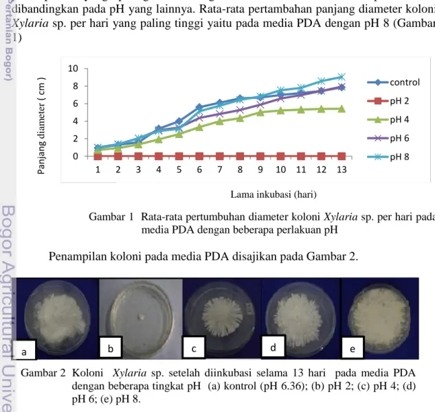 Gambar 1  Rata-rata pertumbuhan diameter koloni Xylaria sp. per hari pada   media PDA dengan beberapa perlakuan pH 