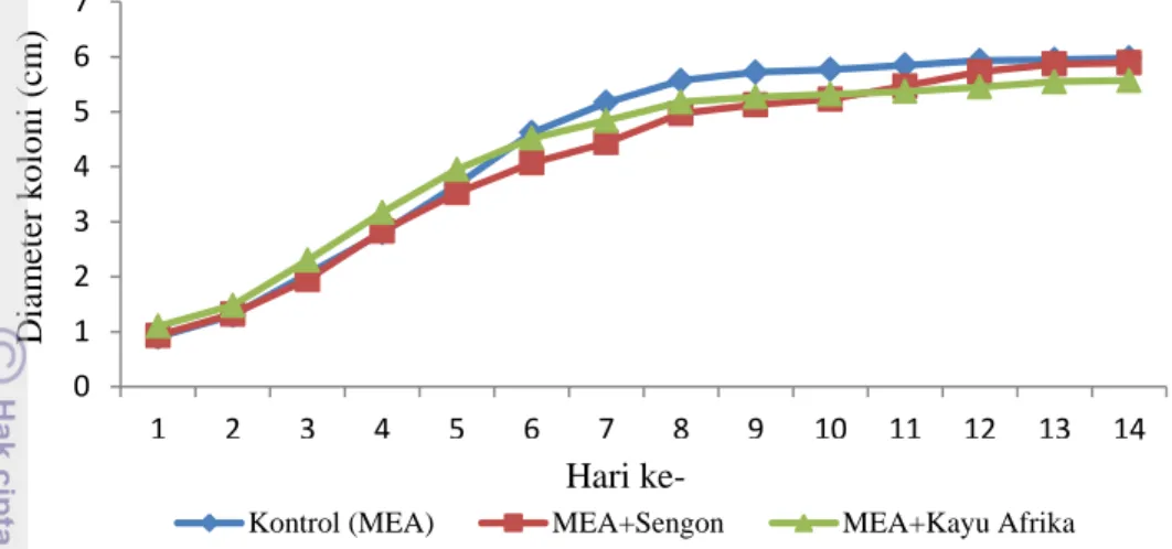 Gambar 8  Rata-rata pertumbuhan diameter koloni Xylaria sp. per hari pada media MEA  dengan beberapa perlakuan penambahan serbuk gergaji 