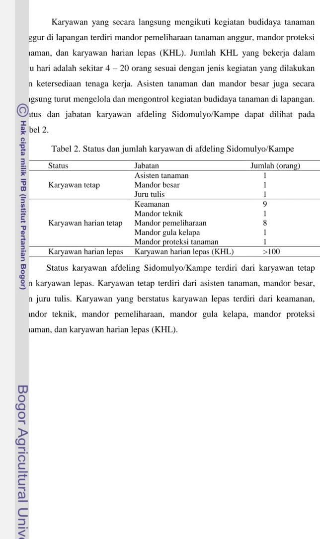 Tabel 2. Status dan jumlah karyawan di afdeling Sidomulyo/Kampe 