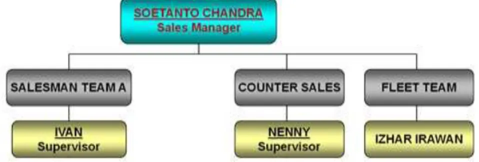 Gambar 3.2 Struktur Organisasi Sales 