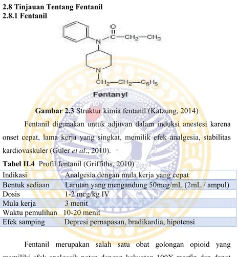 Gambar 2.3 Struktur kimia fentanil (Katzung, 2014) 