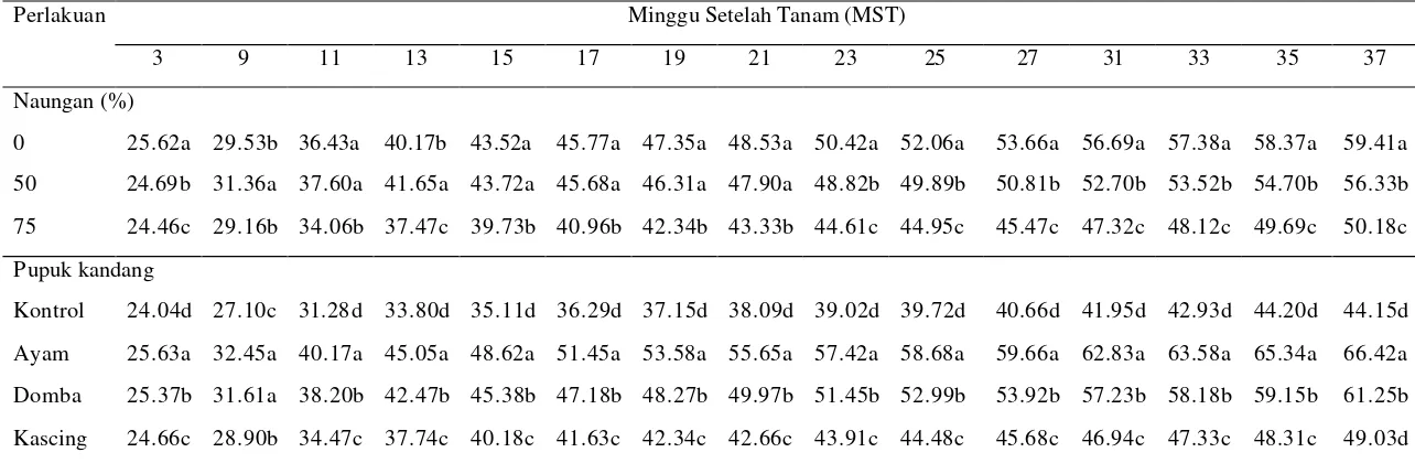 Tabel 4. Pengaruh naungan dan jenis pupuk kandang terhadap tinggi tanaman lidah buaya (cm) 