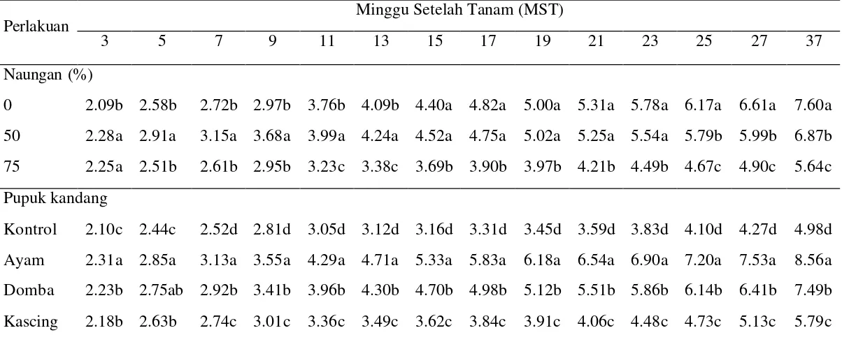 Tabel 9. Pengaruh naungan dan jenis pupuk kandang terhadap lebar pelepah lidah buaya (cm) 