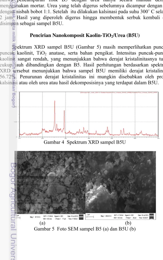 Gambar 4  Spektrum XRD sampel B5U   