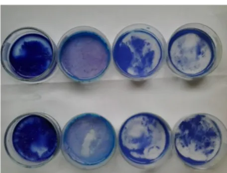 Gambar 9  Endapan hasil uji fotodegradasi. Kiri ke kanan: kaolin, TiO   2 , B5, dan  B5U.Atas: hasil penyinaran dengan sinar UV,bawah: hasil penyinaran  dengan sinar tampak 