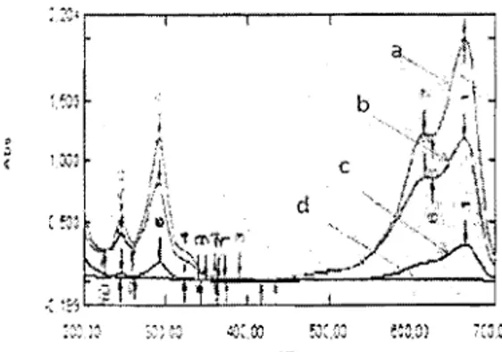 Gambar 7. 	 Spektrum  UV-tampak  filtrat  uji  fotodegradasi:  a=  larutan  biru  metilena;  b=  bahan  pengikat UV;  c=  BNK/Ti02 tanpa UV;  d=  BNK/Ti02 dengan UV