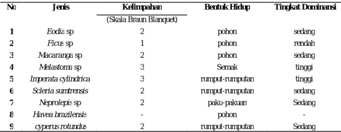 Tabel 3. Karakteristik vegetasi pionir dari data kedua pada tanggal 23 Februari 2013 