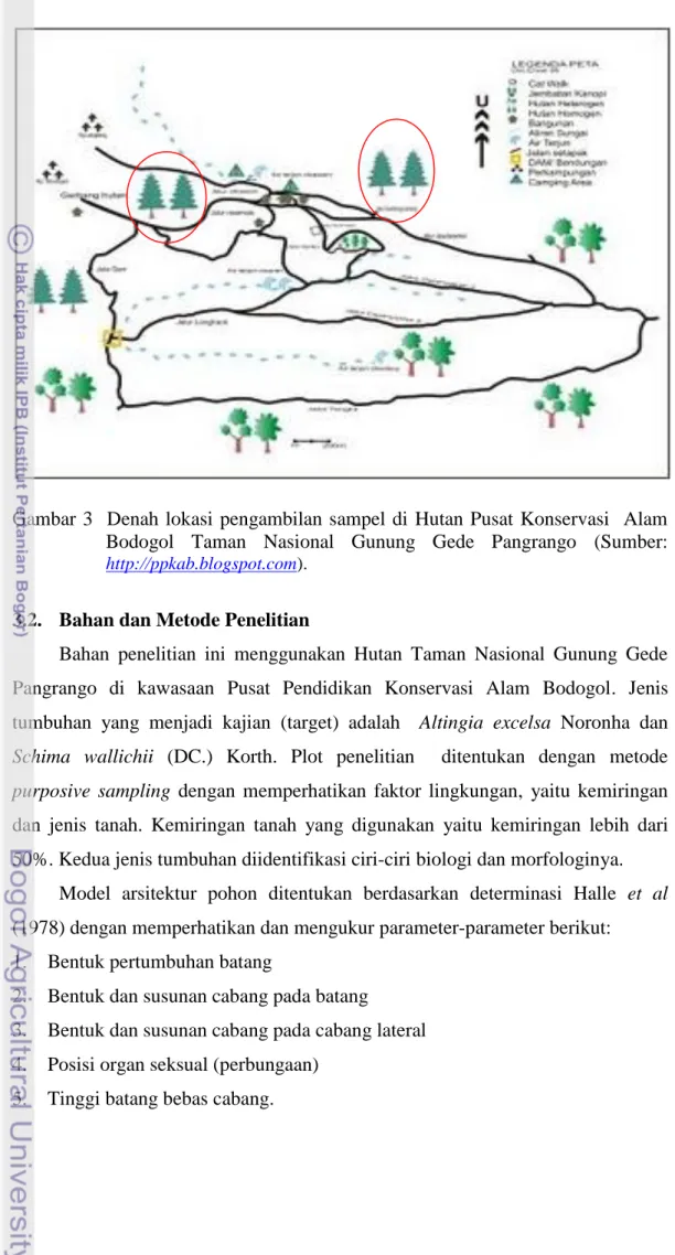 Gambar  3    Denah  lokasi  pengambilan  sampel  di  Hutan  Pusat  Konservasi    Alam                   Bodogol  Taman  Nasional  Gunung  Gede  Pangrango  (Sumber:   