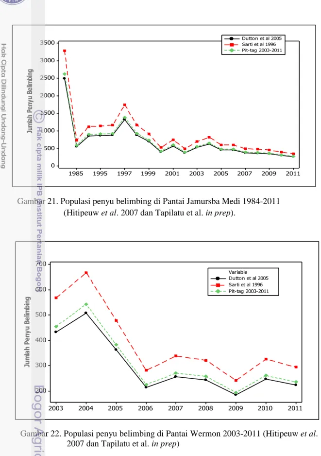 Gambar 21. Populasi penyu belimbing di Pantai Jamursba Medi 1984-2011  (Hitipeuw et al