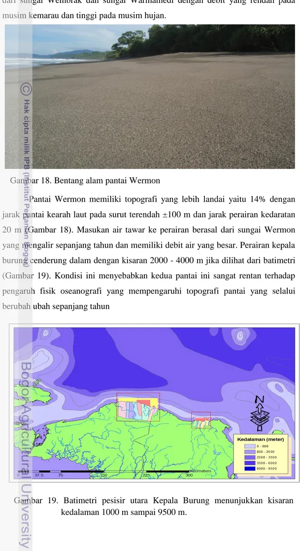 Gambar  19.  Batimetri  pesisir  utara  Kepala  Burung  menunjukkan  kisaran  kedalaman 1000 m sampai 9500 m.