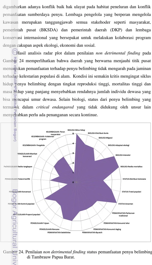 Gambar 24. Penilaian non detrimental finding status pemanfaatan penyu belimbing  di Tambrauw Papua Barat