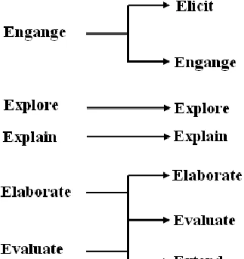 Gambar 1. Perkembangan   Learning Cycle  5E menjadi  Learning Cycle  7E 