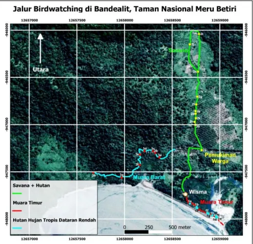 Gambar 1. Peta jalur birdwatching di Bandealit, Taman Nasional Meru Betiri alam  dan  lokasi  hutan  hujan  tropis  yang 