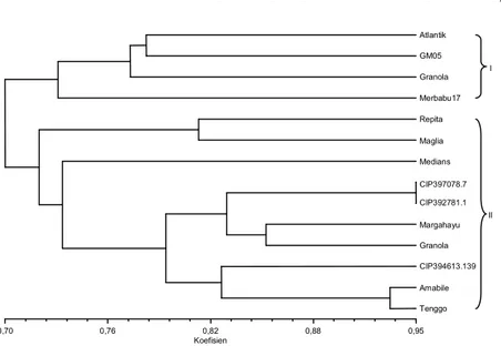 Gambar 2.  Dendrogram empat belas varietas kentang hasil analisis klaster dengan metode UPGMA menggunakan program NTSYS berdasarkan  pola pita SSR dan STS menggunakan dua belas marka