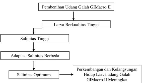 Gambar 1. Kerangka Pikir 