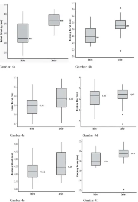 Tabel 3 Deskripsi morphometri Gallirallus philippensis berdasarkan jenis kelamin                                                     Jenis Kelamin