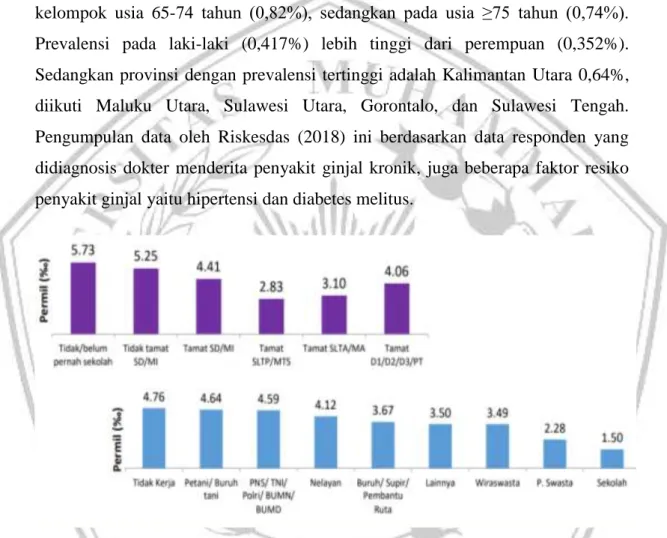 Gambar 2. 2 Prevalensi penyakit ginjal kronik menurut karakteristik di Indonesia  tahun  2018