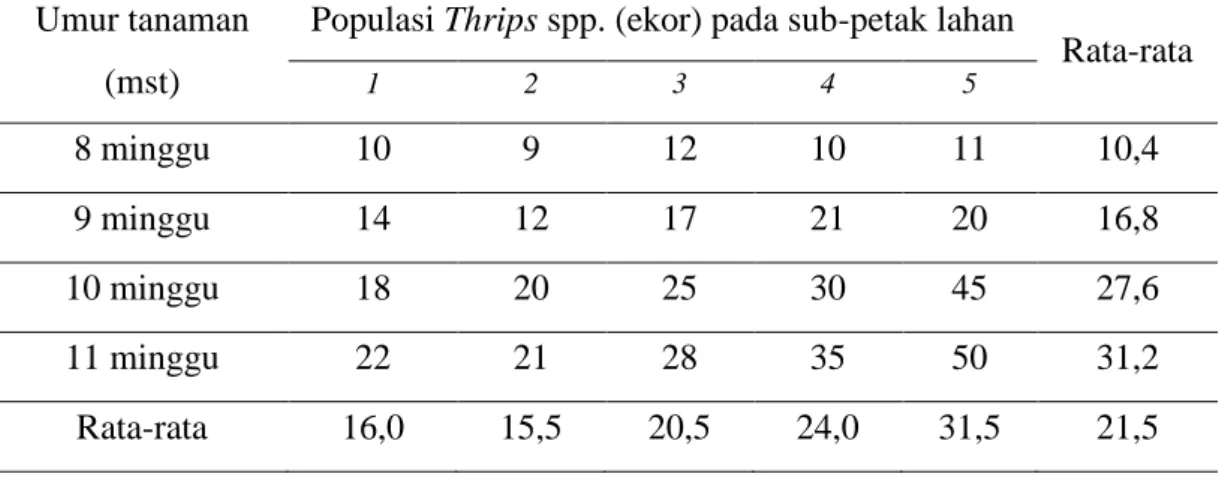 Tabel 2.  Populasi Thrips spp. pada Bunga Krisan Varietas Solinda Pelangi      (n = 7 bunga/sub-petak) 