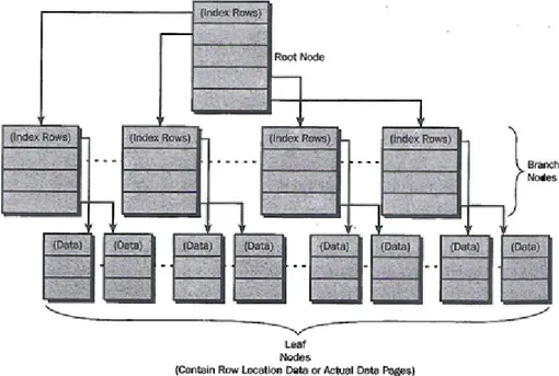 Gambar 1 Struktur Index 