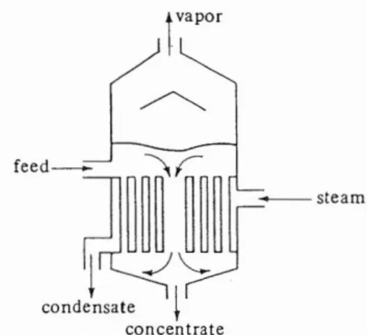 Gambar 1. Skema Short-tube vertical evaporator (single effect) (Geankopolis, 1978) 