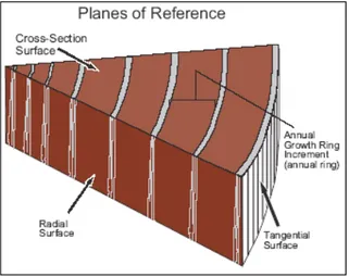 Gambar 1  : Referensi bidang geometris permukaan kayu   Bond and Hamner (2002). 