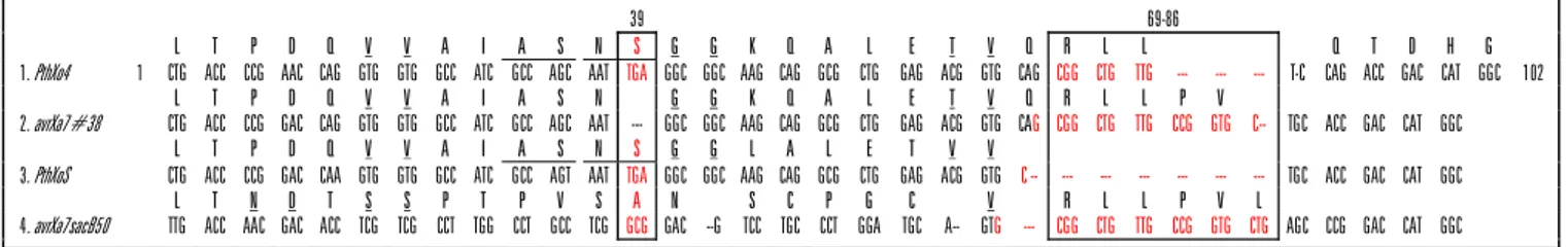 Gambar 3. Hasil amplifikasi PCR beberapa sampel isolat HDB yang digunakan dalam pengujian, yaitu            (1) Ras III (94-003), (2) Ras IV (76024), (3) Ras VIII (8024), dan (4) isolat IXO93-068, menggunakan  empat marka untuk kopi gen avrXa7, yaitu avrXa