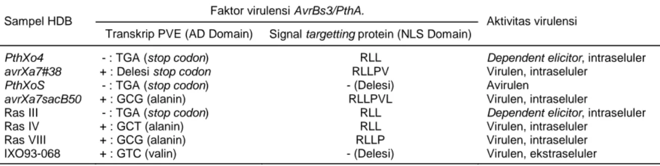 Tabel 3.  Faktor dan aktivitas virulensi beberapa gen AvrBs3/PthA dan empat sampel patogen HDB, yaitu Ras III, Ras IV, Ras  VIII, dan isolat IXO93-068
