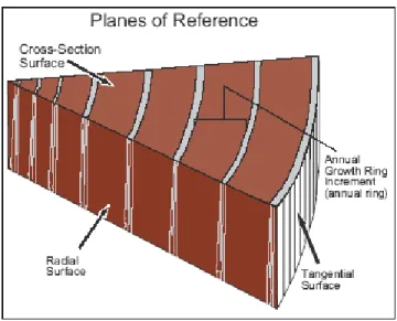 Gambar 1  Referensi bidang geometris permukaan kayu   Bond and Hamner (2002) . 