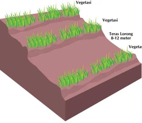 Ilustrasi 1:  terasering.  Pembuatan  NVS yang bisa menghasilkan  lahan berteras (Adopsi dari https://qt.wocat.net/qt_summary.