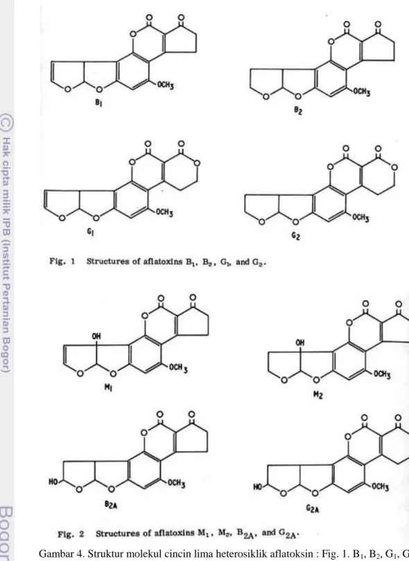 Gambar 4. Struktur molekul cincin lima heterosiklik aflatoksin : Fig. 1. B 1 , B 2 , G 1 , G 2