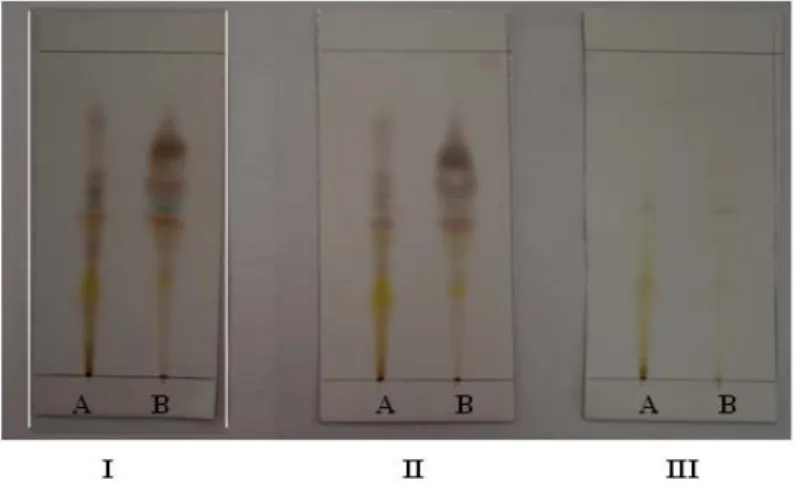 Gambar 4.   Profil Kromatogram  setelah disemprot  asam  sulfat dalam  metanol (I), Liberman buchard (II) dan uap amoniak (III)  yang dilihat pada sinar UV 254   (A) dan UV 366  (B)
