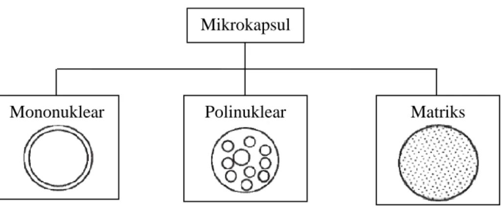 Gambar 4. Morfologi Mikrokapsul  (Ghosh, 2006) 