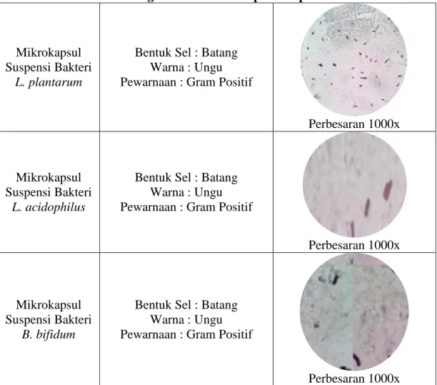 Tabel 6. Verifikasi Morfologi Bakteri Mikrokapsul Suspensi Hari ke-0 