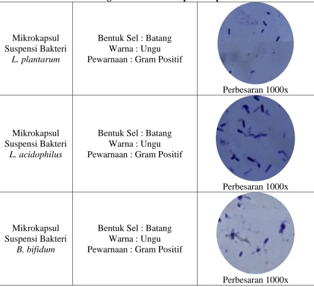 Tabel 7. Verifikasi Morfologi Bakteri Mikrokapsul Suspensi Hari ke-20 