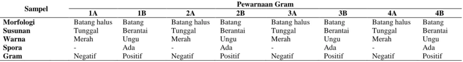 Tabel 5   Hasil pewarnaan Gram bakteri pada saluran reproduksi imago betina A. atlas dari media Mac Conkey Agar