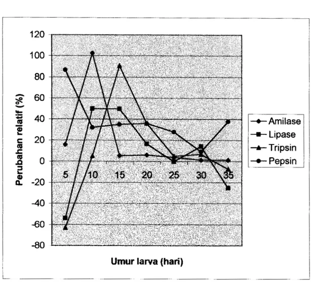 Gambar  14.  Perubahan relatif aktivitas enzim  4  -amilase, lipase, tripsin dan  pepsin pada larva ikan bandeng (Chanos chanos  Forskal) 