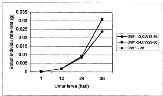 Gambar 5.  Perkembangan bobot individu larva ikan bandeng  Chanos chanos  Forskal) setiap pengamatan pada  penggunaan media pemeliharaan yang berbeda 