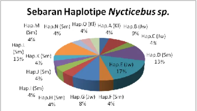 Gambar 3. Sebaran haplotipe kukang (Nycticebus  spp) menggunakan variabel site. 