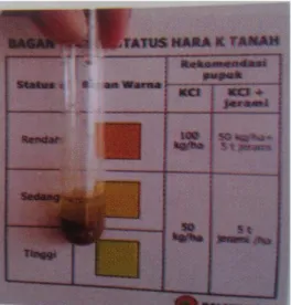 Gambar 4.  Contoh penggunaan Bagan Warna pada                    penentuan status hara K