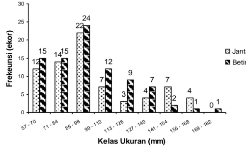 Gambar 2. Distribusi ukuran ikan keperas (C. apogon) jantan dan betina 